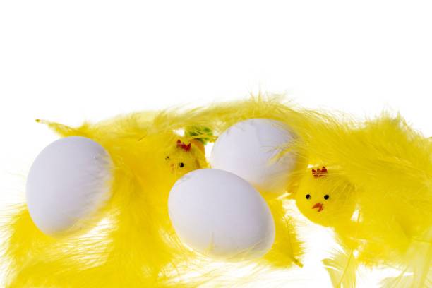 istock Close up view of white eggs and yellow feathers and chick figures isolated on white background. Easter concept. 1210598724