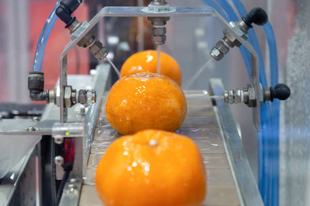 close up orange citrus washing on conveyor belt at fruits automation water spray cleaning machine in production line of fruits manufacturing. agricultural industry and innovation technology concept. close up orange citrus washing on conveyor belt at fruits automation water spray cleaning machine in production line of fruits manufacturing. agricultural industry and innovation technology concept. industrial orange stock pictures, royalty-free photos & images