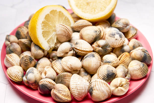 istock Shellfish Seafood Cockles fresh ocean gourmet dinner with lemon. 1210600170