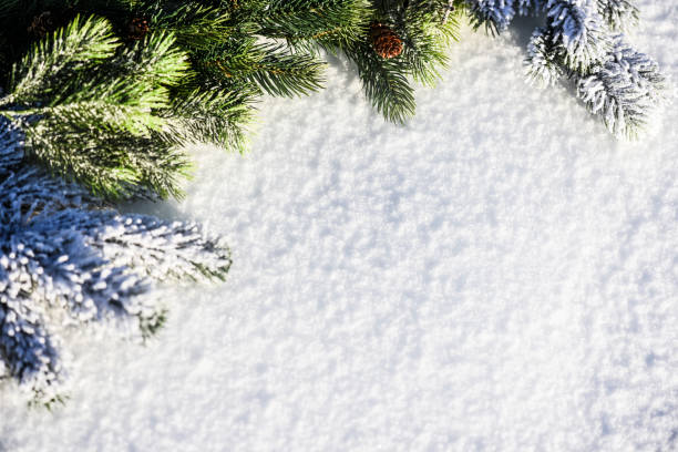 istock Shiny Christmas tree background dacoration with Snow top view 1210600698