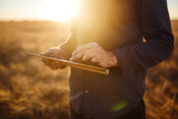 istock Hands of a farmer holding a tablet in wheat field. Smart farming using modern technologies in agriculture. 1210603191