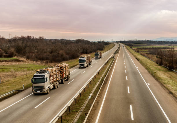 istock Loaded timber trucks transport timber logs with an overload on the highway 1210606601