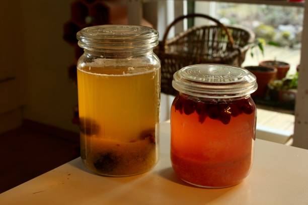 istock Water Kefir Lemonades 1210606616