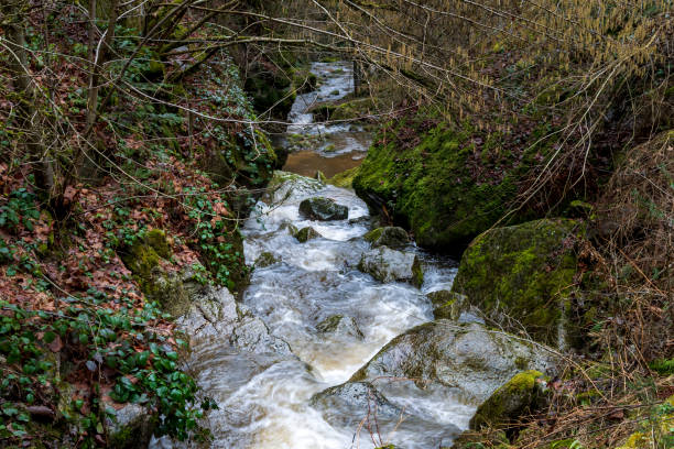 istock a hike through the wild Ysperclammy 1210608117