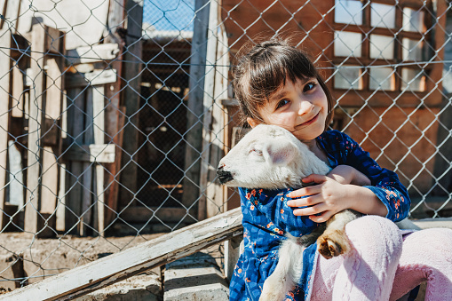 Photo of a little girl  hugging a kid lamb