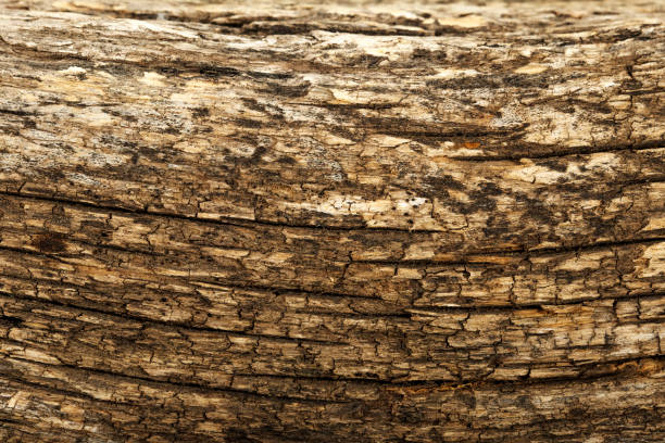 istock Dark brown wooden surface. Texture for background. Wooden background high quality texture close up. Can be used for design as a background or other. Copy space. Wooden black background. 1210613094