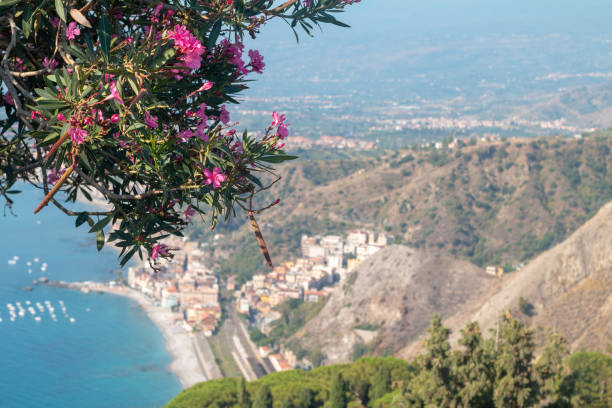 istock Oleander in Taormina, Sicily 1210613671
