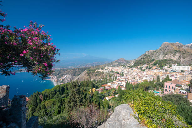 istock Oleander in Taormina, Sicily 1210614187