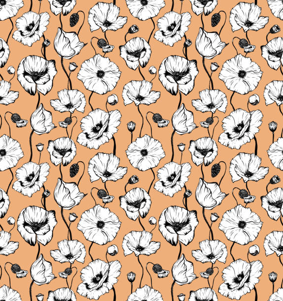 illustrazioni stock, clip art, cartoni animati e icone di tendenza di motivo senza cuciture disegnato a mano con testa di fiori di papavero bianco e nero - stem poppy fragility flower