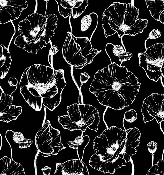 рука обращается бесшовные картины с черно-белой головой цветок мака - stem poppy fragility flower stock illustrations