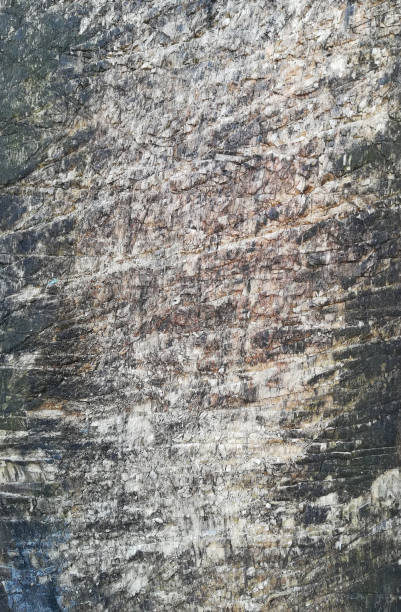 istock Texture of an old scratched gray wooden board. vertical background 1210614819