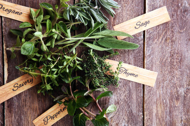 istock Homegrown and aromatic herbs on rustic background with sage and peppermint with labels 1210616834