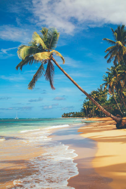 istock Rincon playa beach ⁨Dominican Republic⁩, ⁨North Atlantic Ocean⁩ 1210616986
