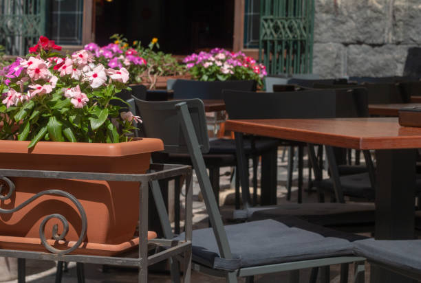 istock Impatiens in Taormina, Sicily 1210617020