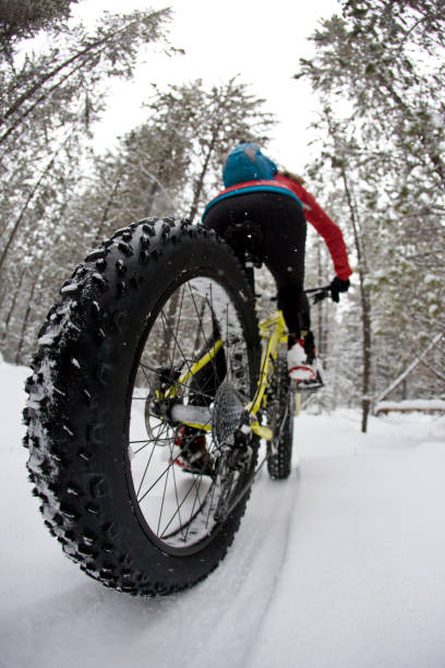 istock Winter Fat Bike Ride 1210620406