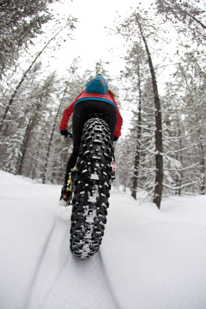 istock Winter Fat Bike Ride 1210620514