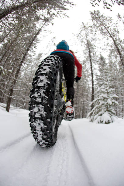 istock Winter Fat Bike Ride 1210620516