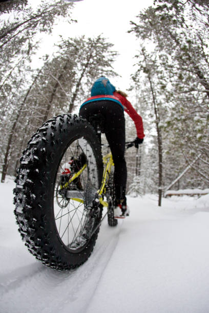 istock Winter Fat Bike Ride 1210620575