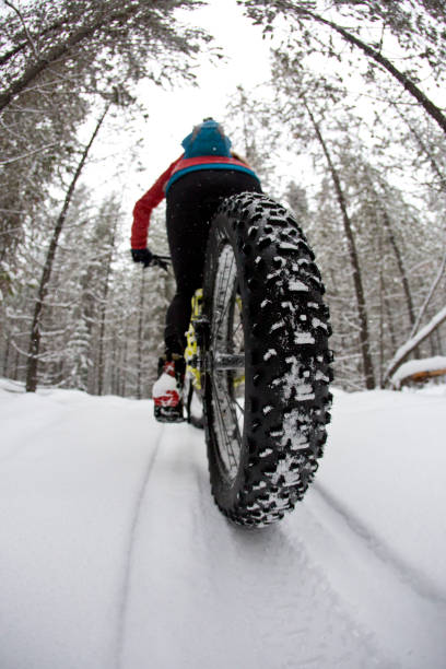 istock Winter Fat Bike Ride 1210620576
