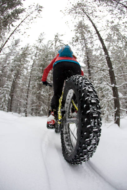 istock Winter Fat Bike Ride 1210620632