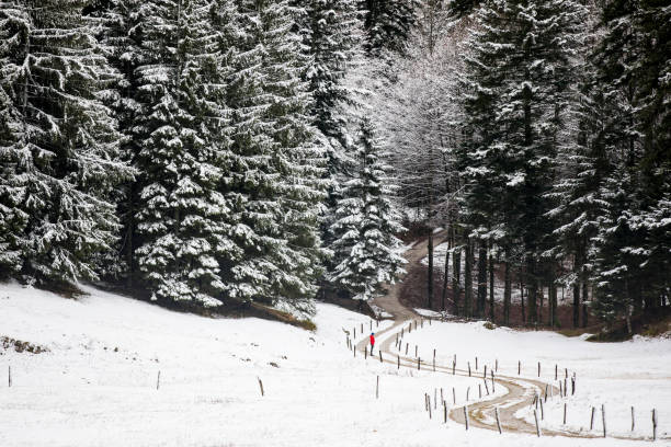 Hiking in Winter on Winding Dirt Road.