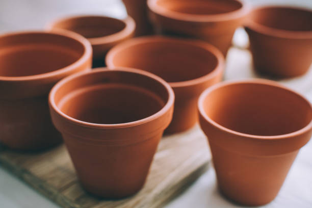 istock Repotting Houseplants, Preparing Terracotta Pots 1210621633
