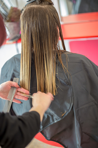 Female hairdresser hold in hand between fingers lock of blonde hair, comb and scissors closeup.