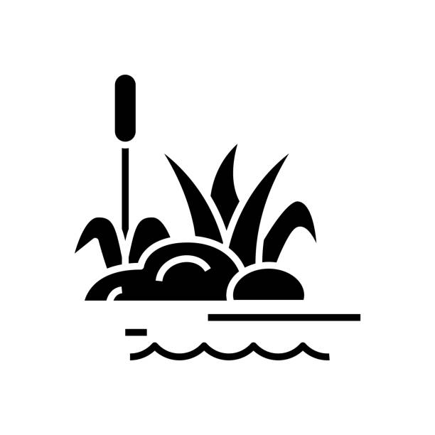 ilustraciones, imágenes clip art, dibujos animados e iconos de stock de plantas de pantano icono negro, ilustración de concepto, símbolo plano vectorial, signo de glifo - estero zona húmeda