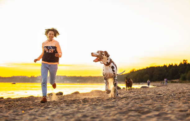 istock Joyful woman spending time running with dogs on sandy beach 1210625733