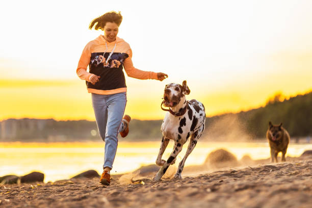 istock Joyful woman spending time running with dogs on sandy beach 1210625735