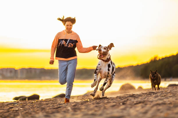 istock Joyful woman spending time running with dogs on sandy beach 1210625736