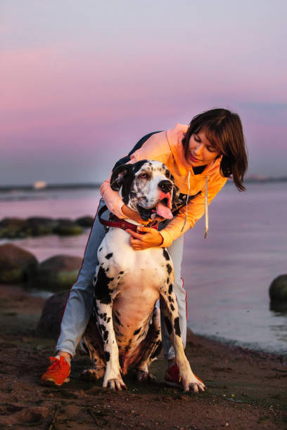 istock Thoughtful female owner with dog on coastline 1210627139