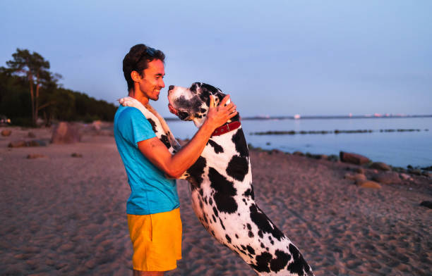 istock Cheerful male owner hugging with dog on beach 1210627299