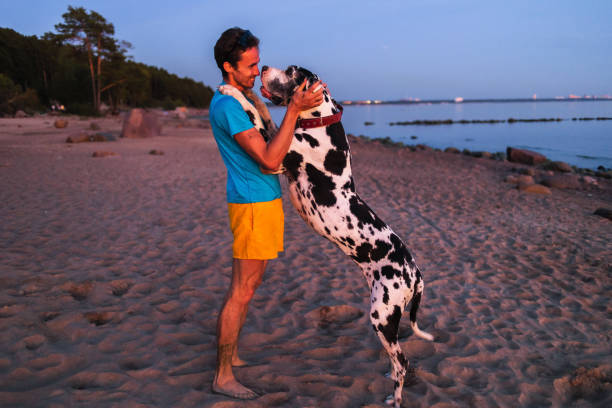 istock Cheerful male owner hugging with dog on beach 1210627313