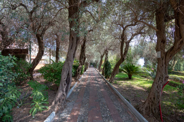istock Villa Comunale Di Taormina in Messina Province, Sicily 1210632922