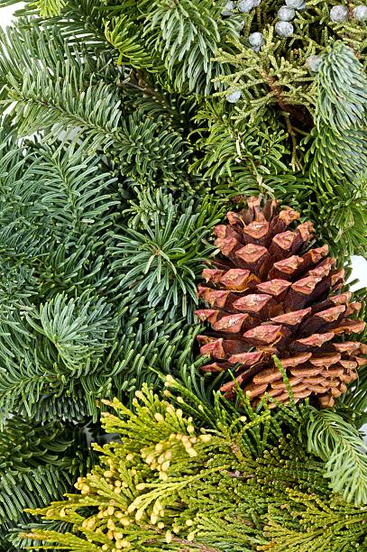 istock Close up of holiday wreath 121063374