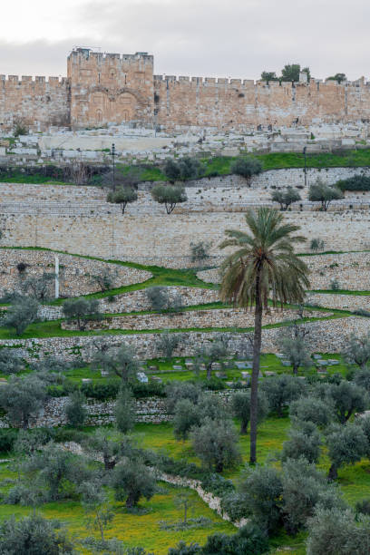 istock The walls of Jerusalem 1210636642