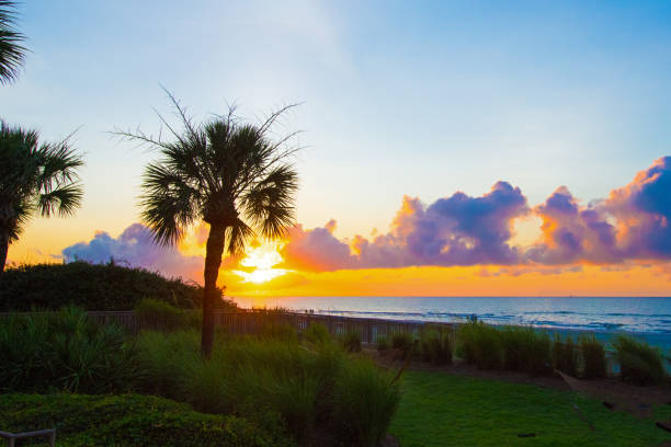 Sunrise on the beach with palm trees- Hilton Head Island-South Carolina Sunrise- Hilton Head Island-South Carolina hilton head photos stock pictures, royalty-free photos & images