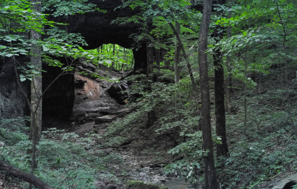 istock Hiking in Kentucky 1210638271