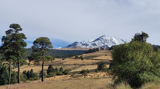 temperate forest landscape in the Nevado de Toluca region in autumn season