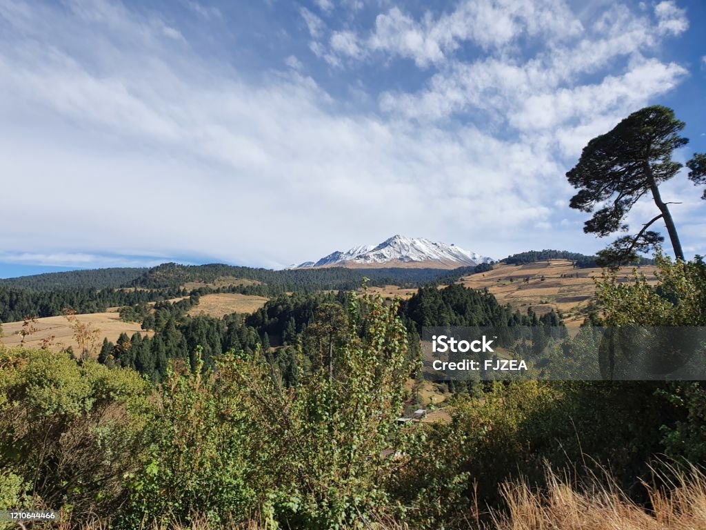 nature travel and ecotourism in Toluca, Mexico temperate forest landscape in the Nevado de Toluca region in autumn season Beauty In Nature Stock Photo