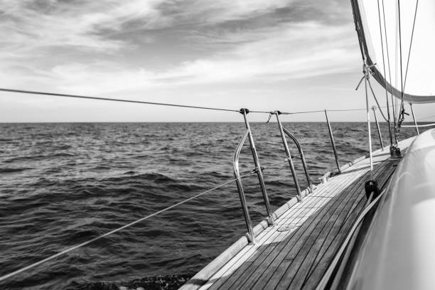 istock The Sails of Saint-Tropez 1210651751