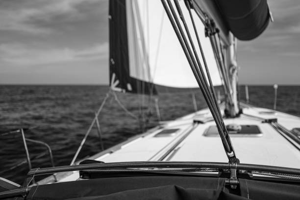 istock The Sails of Saint-Tropez 1210651766
