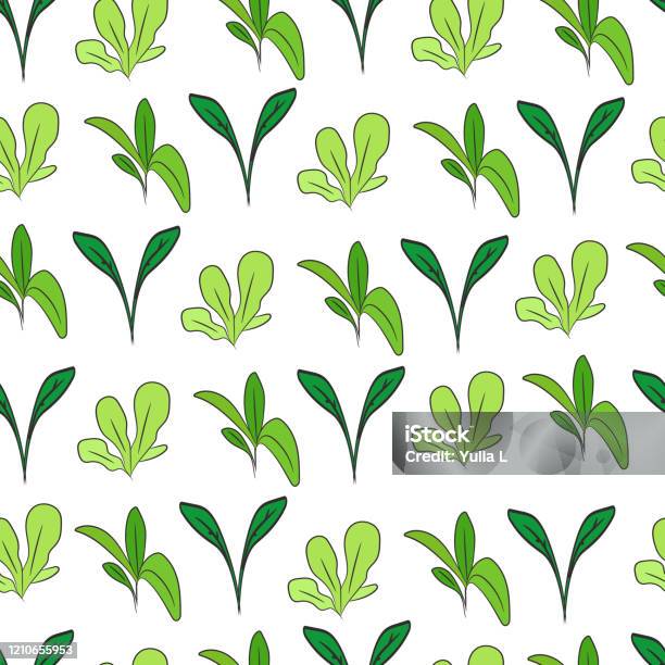 Sprouting Patterns Various Sprouts On A White Background Small Plants Seedlings Seamless ...