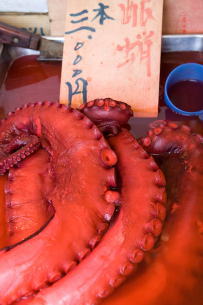 istock Octopus prepared in Tokyo Market 1210657992