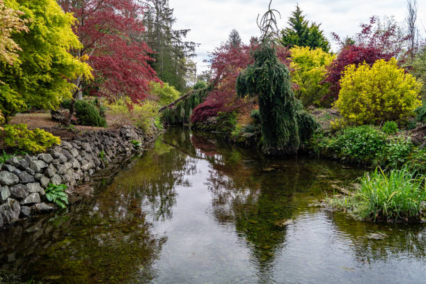 istock Creek flowing through landscaped gardens 1210658112
