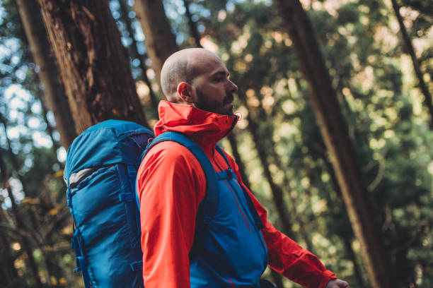 istock Man hiking in Japanese forest 1210658706