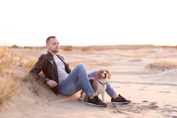 istock A young Caucasian man dressed black leather jacket and blue jeans sits on sandy beach next to his friend the dog Beagle breed. 1210658812