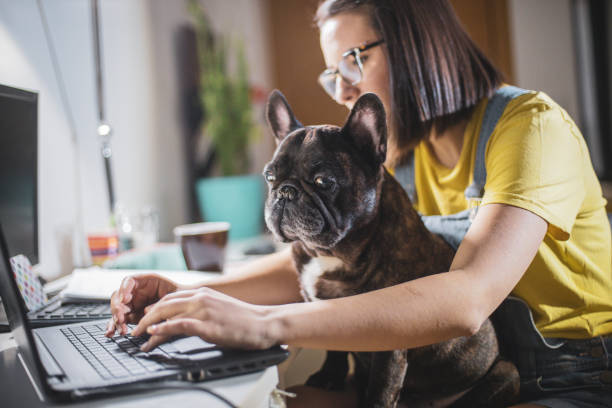 istock Young woman studying at home 1210658913