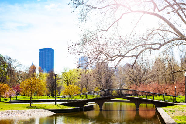 istock Bridge in West Park - Lake Elizabeth at spring 1210659429